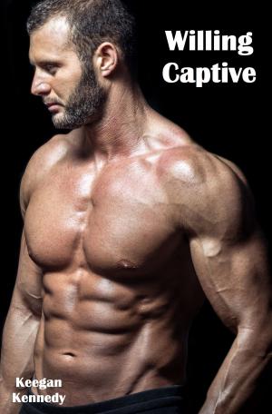 Cover of the book Willing Captive by Helen Brooks