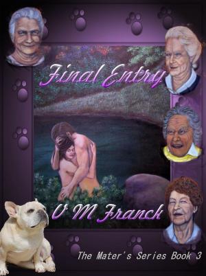 Cover of the book Final Entry by Christy Hayes