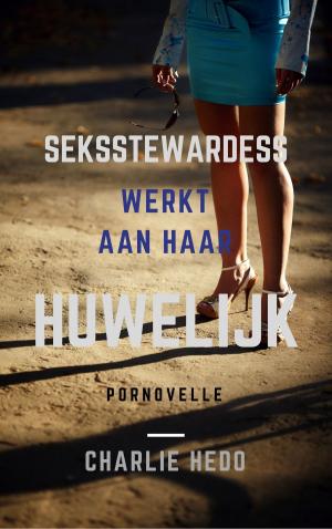Cover of the book Seksstewardess werkt aan haar Huwelijk by Sylvia Dubois