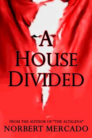 Cover of the book A House Divided by Alexander Lorincz