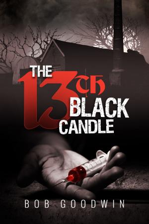 Book cover of The 13th Black Candle