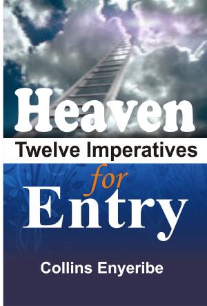 Cover of the book Heaven Twelve Imperatives For Entry by Phillip Kayser