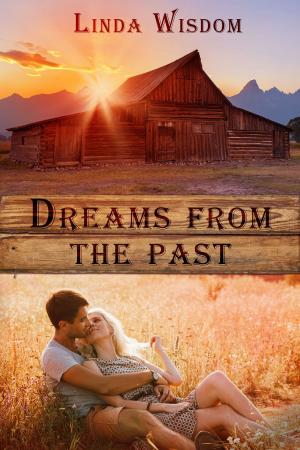 Cover of the book Dreams From The Past by Linda Wisdom