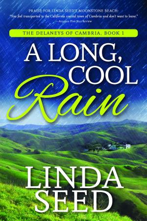 Cover of the book A Long, Cool Rain by JJ Stuart