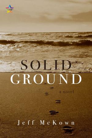 Cover of the book Solid Ground by Daniel Dalton