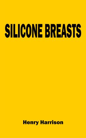 Cover of the book Silicone breasts by PC Surname