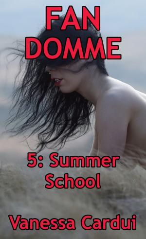 Book cover of Summer School