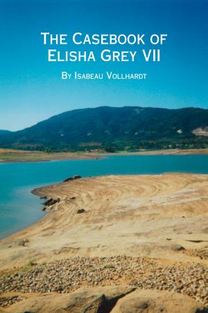 Book cover of The Casebook of Elisha Grey VII