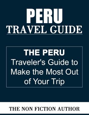 Cover of the book Peru Travel Guide by Antonio Gálvez Alcaide