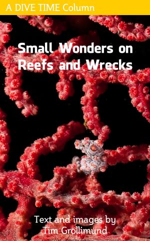 Cover of the book Small Wonders on Reefs and Wrecks by Graham O'Neill