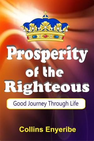 Cover of the book Prosperity of the Righteous: Good Journey through Life by Donny Dotard
