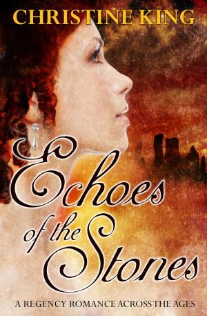 Cover of the book Echoes of the Stones by Alyssa Drake