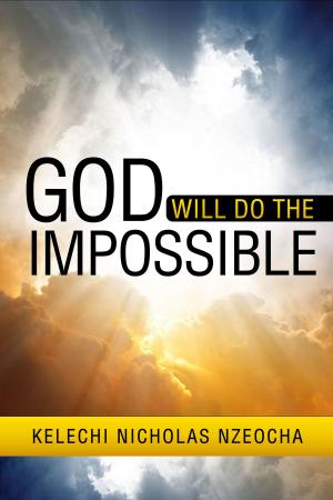 Cover of the book God Will Do The Impossible by Richard Ankony