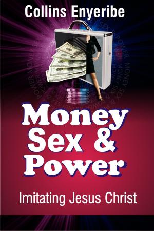 Cover of the book Money, Sex and Power: Imitating Jesus Christ by Rachel Larkin