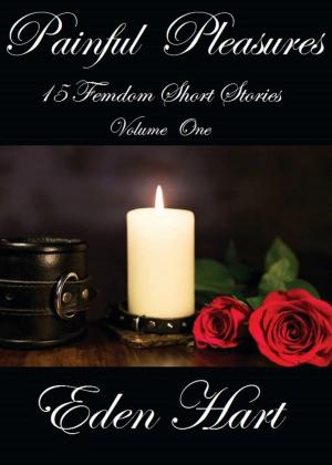 Cover of the book Painful Pleasures by Karen C. Klein