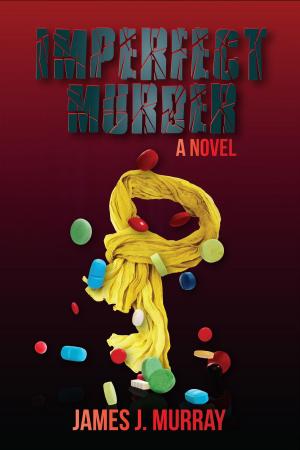 Cover of the book Imperfect Murder by Bart Davis