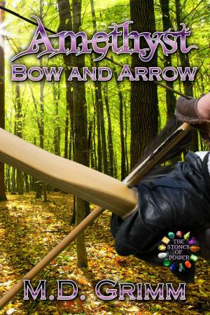 Book cover of Amethyst: Bow and Arrow (The Stones of Power Book 3)