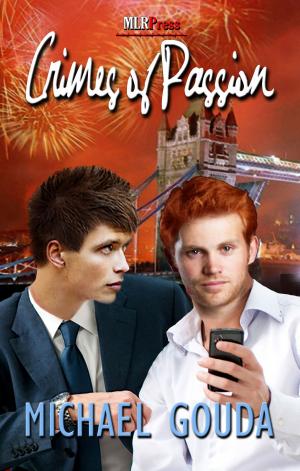Cover of the book Crimes of Passion by Megan Slayer