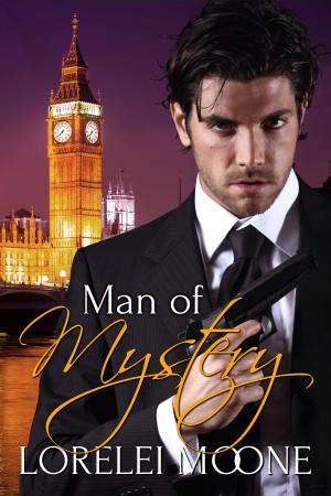 Cover of the book Man of Mystery by Lolita Minx