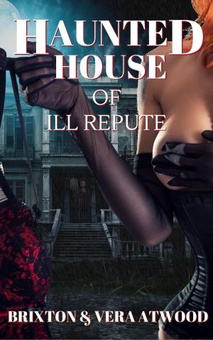 Cover of the book Haunted House of Ill Repute by Paul Bourget