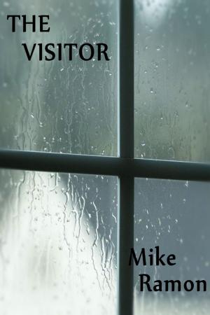 Cover of the book The Visitor by Lee Edward McIlmoyle