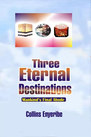 Cover of Three Eternal Destinations: Mankind's Final Abode