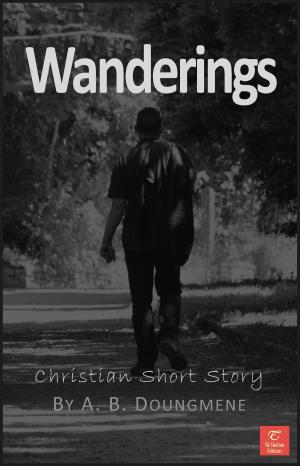 bigCover of the book Wanderings by 
