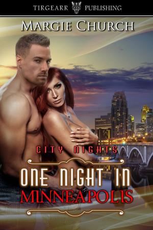 Cover of the book One Night in Minneapolis by Elizabeth Delisi