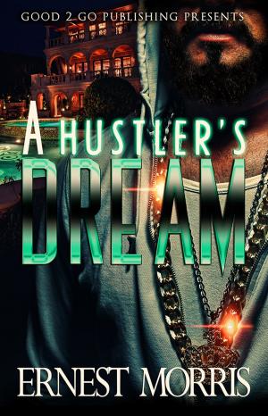 Book cover of A Hustler's Dream