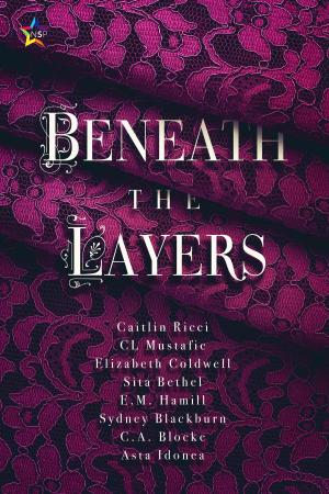 Cover of the book Beneath the Layers by Eden Darry