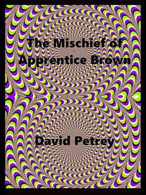 Cover of the book The Mischief of Apprentice Brown by Tim T.K.