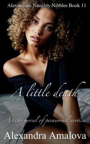 Cover of the book A Little Death: Alexandra's Naughty Nibbles Book 11 by Wisard Masters