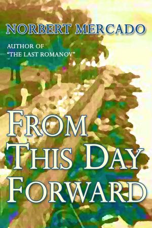 Cover of the book From This Day Forward by Cindy Nord