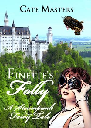 bigCover of the book Finette's Folly by 