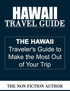 Cover of the book Hawaii Travel Guide by William McIntyre