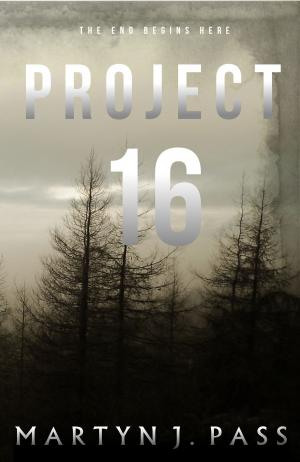 Cover of the book Project 16 by Steve Matthew Benner