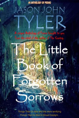 Book cover of The Little Book of Forgotten Sorrows