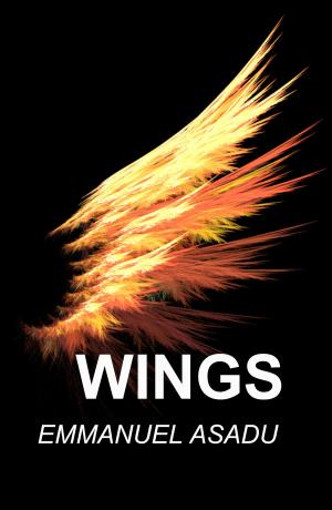 Cover of the book Wings by JJ Barrie