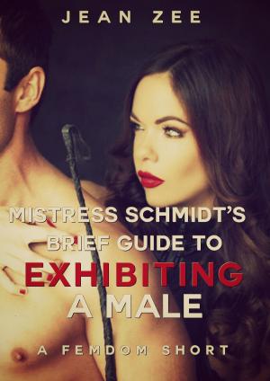 Cover of the book Mistress Schmidt’s Brief Guide to Exhibiting a Male by Temptation Press, Evan Balkan, Andy Betz, Con Chapman, Jan Darwyn, RCL Graham, Andrew Mayden, Justice McPherson