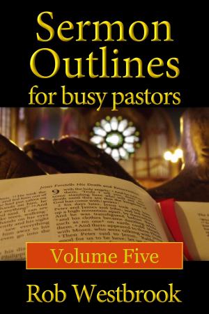 Book cover of Sermon Outlines for Busy Pastors: Volume 5