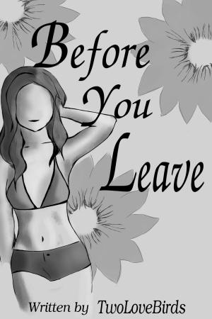 Cover of the book Before You Leave by Suzanna Medeiros