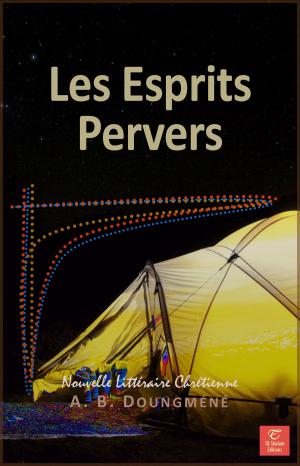 Cover of the book Les Esprits Pervers by A. B. Doungméné