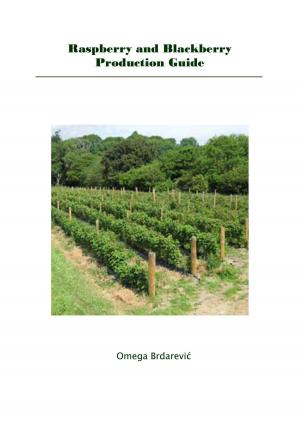 Book cover of Raspberry and Blackberry Production Guide