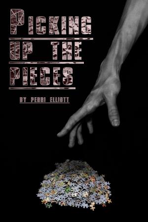 Cover of the book Picking up the Pieces by M Angel