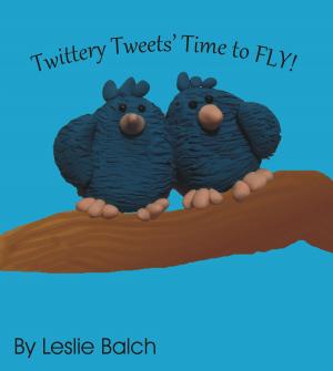 Cover of Twittery Tweets, Time to Fly