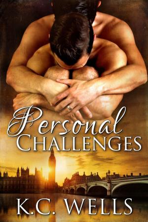 bigCover of the book Personal Challenges by 