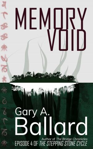 Cover of the book Memory Void by Darryl Hicks