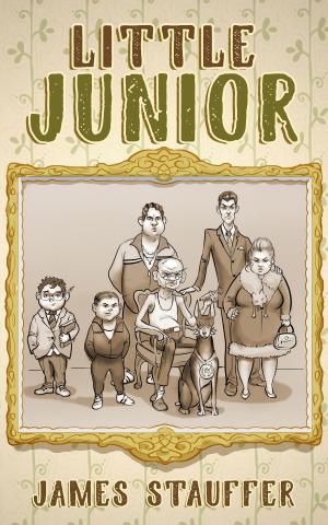 Cover of the book Little Junior by John Migacz