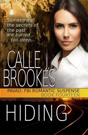 bigCover of the book Hiding by 
