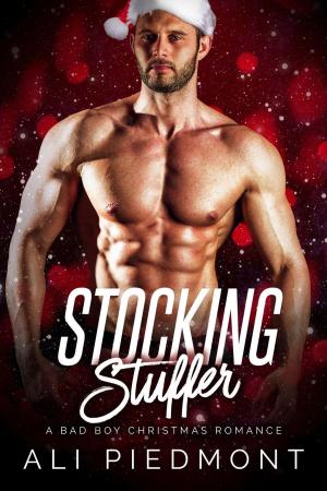 Cover of the book Stocking Stuffer: A Bad Boy Christmas Romance by Catherine Winters